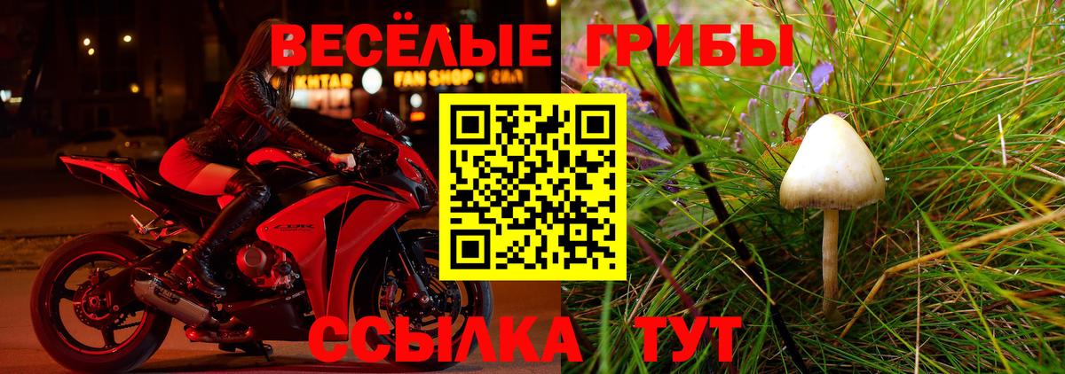 Галлюциногенные грибы прущие грибы Ейск